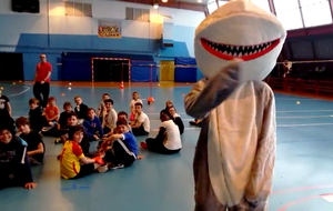  Sharky  en vedette du stage multisports (vidéo)