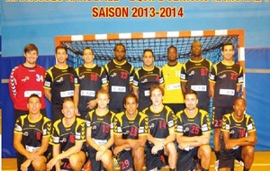 FFHB: les statistiques joueurs, Nationale 1, poule 1