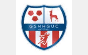 N1: l'adversaire Grenoble