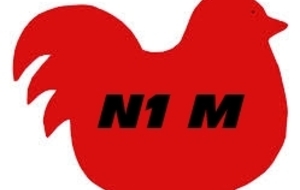 N1 Masculine: La poule 1 pour 2014/2015