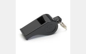 Stage d'arbitrage: dimanche 30 novembre