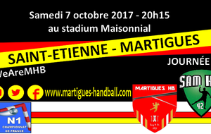 J5, Saint-Etienne - MHB : l'avant-match !