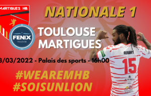 N1 / J15, Toulouse - MHB : l'avant-match