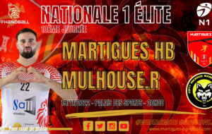 N1 / J10, MHB - Mulhouse : l'avant-match