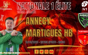 N1 / J19, Annecy - MHB : l'avant-match