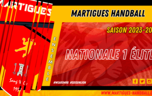 N1 / Le programme de reprise du MHB