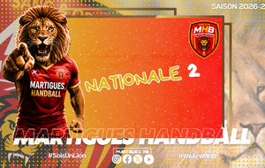 N2 : le programme de la semaine