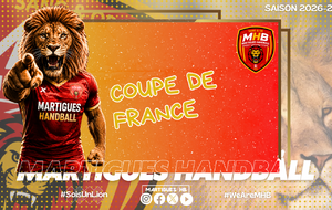 Coupe de France : MHB / Sud Action au 2e tour