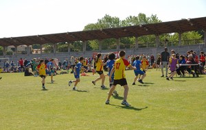 51ad084607660_handmarignane4.jpg