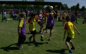 51ad084710a8f_treizhandteufmarignane3.jpg