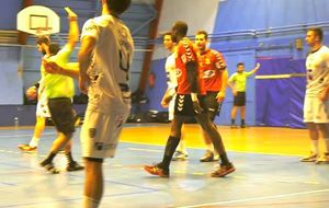 Carton jaune pour Karabatic 