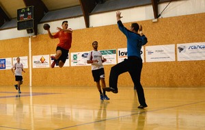 5604ed3d2d53a_HandP1.jpg