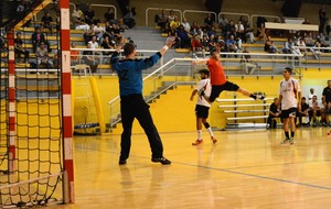 5604ed4100747_HandP5.jpg