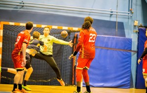 5720f1bfe713f_DSC9367.JPG