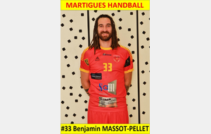 5b968fd96b5c8_33MASSOTPELLET.JPG