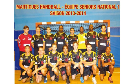 FFHB: les statistiques joueurs, Nationale 1, poule 1