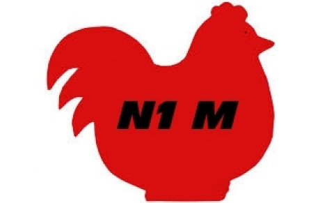 N1 Masculine: La poule 1 pour 2014/2015