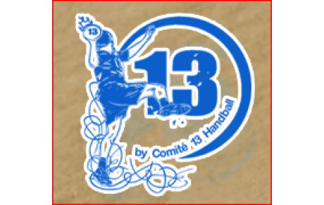 Candidature MEMBRE CD13