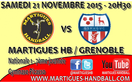 N1, 7ème journée / Réception de Grenoble !