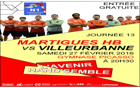 N1, 13ème journée / Réception de Villeurbanne ! 