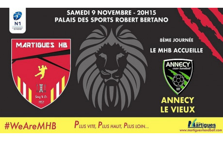 N1/J8, MHB / Annecy : l'avant-match !