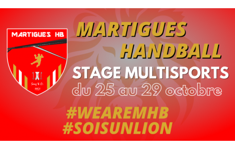 Stage multisports d'octobre : inscrivez-vous !