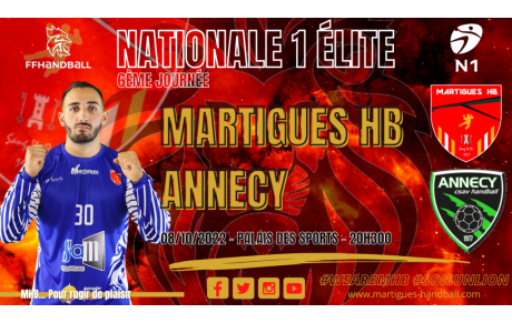 N1 / J6, MHB - Annecy : l'avant-match