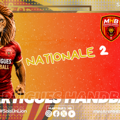N2 : le programme de la semaine